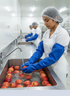 Guantes de Nitrilo para Contacto con Alimentos Aprobados por FDA | Nitri-Knit™